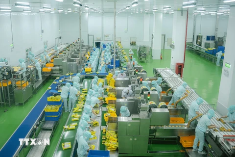 Công nhân nhà máy Want Want Việt Nam chuyên sản xuất bánh gạo (Đài Loan) tại Khu công nghiệp Long Giang (Tiền Giang) (Ảnh: Lâm Nguyên/TTXVN) 