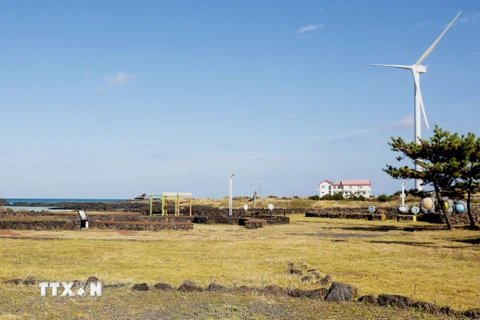 Làng ven biển Woljeong trên đảo Jeju (Hàn Quốc). (Ảnh: Anh Nguyên/TTXVN)