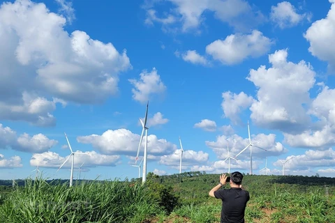Việt Nam sẽ vận hành sàn giao dịch tín chỉ carbon vào năm 2028. (Ảnh: Hùng Võ/Vietnam+) 