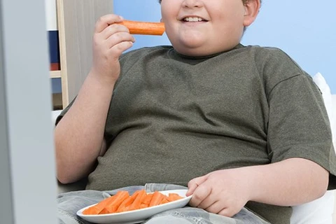 Thói quen thích ăn đồ ăn nhanh là một trong những nguyên nhân gây ra béo phì, thừa cân ở trẻ em. (Nguồn: RT) 