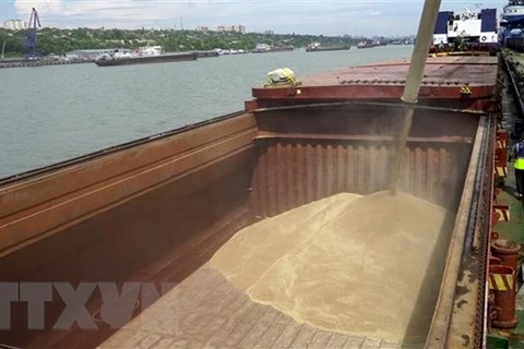 Vận chuyển lúa mỳ lên tàu hàng tại Cảng Quốc tế Rostov-on-Don để chuyển tới Thổ Nhĩ Kỳ. (Nguồn: AFP/TTXVN)