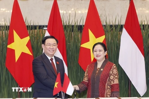 Chủ tịch Quốc hội Vương Đình Huệ và Chủ tịch Hạ viện Indonesia Puan Maharani. (Ảnh: Doãn Tấn/TTXVN) 