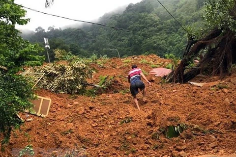 Khu nhà hậu cần Trạm Cảnh sát Giao thông trên Đèo Bảo Lộc bị đất sạt lở vùi lấp. (Ảnh: TTXVN phát) 