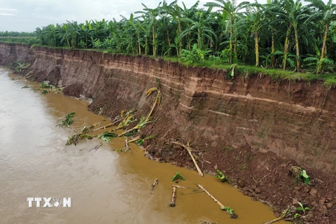 Nhiều đoạn sông đã lở sâu vào khu vực đất canh tác nông nghiệp trên bãi bồi, có nhiều khu vực tiềm ẩn nguy cơ ảnh hưởng đến các khu dân cư của xã Bản Nguyên. (Ảnh: Tạ Toàn/TTXVN)