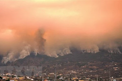 Khói bốc lên ngùn ngụt từ đám cháy rừng trên đảo Tenerife thuộc Quần đảo Canary của Tây Ban Nha. (Ảnh: AFP/TTXVN) 