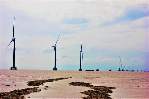 Trên địa bàn tỉnh Cà Mau có tổng cộng 14 dự án điện gió đã được cấp chủ trương đầu tư, với tổng công suất 800MW. (Nguồn: Cổng Thông tin Điện tử tỉnh Cà Mau) 