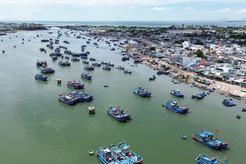 Tàu thuyền của ngư dân cập Đầm Nại để đưa hải sản lên chợ Nại bán buôn. Ảnh: Nguyễn Thành - TTXVN 