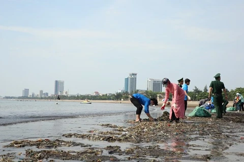 Làm vệ sinh môi trường biển, thu gom xử lý rác thải nhựa. (Ảnh: PV/Vietnam+) 