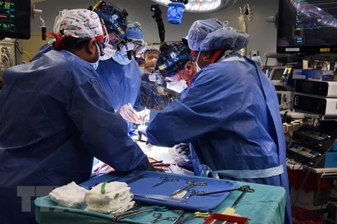 Các bác sỹ tiến hành ca phẫu thuật ghép tim lợn cho bệnh nhân tại Baltimore, bang Maryland, Mỹ ngày 7/1/2022. (Ảnh: AFP/TTXVN) 