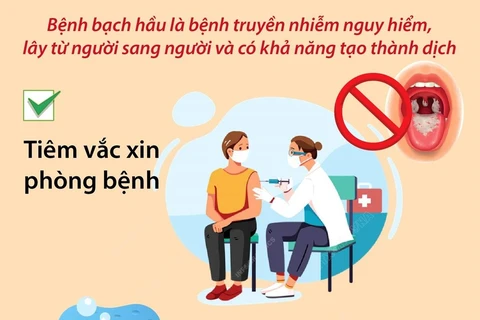 [Infographics] Chủ động phòng, chống dịch bệnh bạch hầu