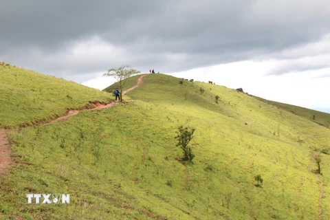 Cung đường trekking Tà Năng-Phan Dũng mạo hiểm với nhiều độ khó thu hút đông đảo giới trẻ khám phá. (Ảnh: Nguyễn Thanh/TTXVN) 