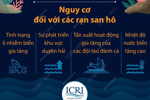 [Infographics] Giảm phát thải để bảo vệ các rạn san hô trên thế giới