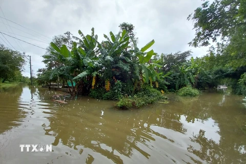 Mưa lớn khiến vùng thấp trũng huyện Quảng Điền, tỉnh Thừa Thiên-Huế bị ngập sâu. (Ảnh: Mai Trang/TTXVN) 