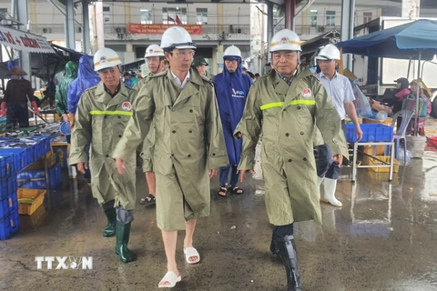 Thứ trưởng Bộ Nông nghiệp và Phát triển nông thôn Nguyễn Hoàng Hiệp kiểm tra tình hình đảm bảo an toàn tàu thuyền tại Cảng cá Thọ Quang. (Ảnh: Văn Dũng/TTXVN) 