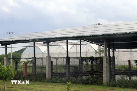 Một hệ thống pin năng lượng mặt trời được lắp áp mái tại Khu Nông nghiệp Ứng dụng Công nghệ cao Phú Yên. (Ảnh: Xuân Triệu/TTXVN)