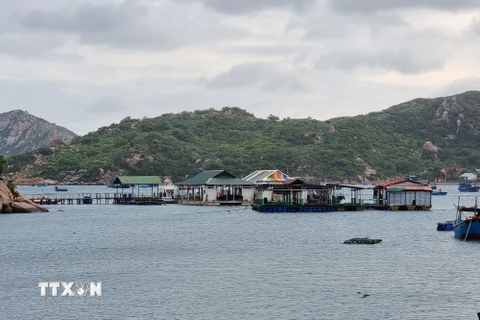 Các nhà hàng, bè nổi hoạt động kinh doanh dịch vụ du lịch trên vịnh Vĩnh Hy không đủ điều kiện hoạt động. (Ảnh: Nguyễn Thành/TTXVN)