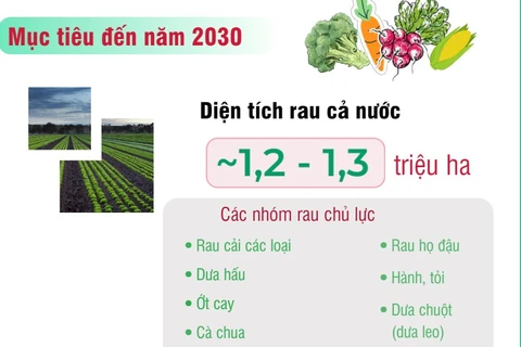 Việt Nam đặt mục tiêu nâng kim ngạch xuất khẩu rau lên 1-1,5 tỷ USD vào 2030 