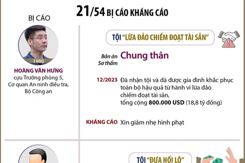 Tòa án Nhân dân Cấp cao tại Hà Nội xét xử phúc thẩm vụ “chuyến bay giải cứu” 