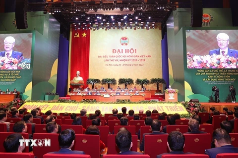 Tổng Bí thư Nguyễn Phú Trọng phát biểu chỉ đạo tại Đại hội Hội Nông dân Việt Nam lần thứ VIII. (Ảnh: Trí Dũng/TTXVN)