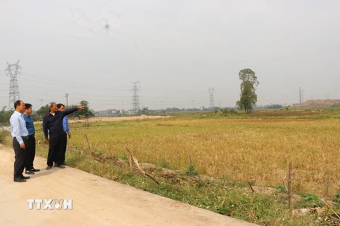 Người dân khu phố Nghi Am, phường Trạm Lộ, thị xã Thuận Thành sớm bàn giao mặt bằng thi công. (Ảnh: Thái Hùng/TTXVN)