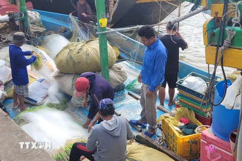 Tàu cá của ngư dân xã Lộc An (Đất Đỏ, Bà Rịa-Vũng Tàu) chuẩn bị ngư lưới cụ để ra khơi đánh bắt chuyến cuối năm. (Ảnh: Hoàng Nhị/TTXVN)