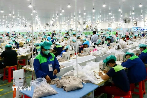 Hoạt động sản xuất tại Công ty trách nhiệm hữu hạn Innoflow NT, Khu Công nghiệp Du Long (Thuận Bắc, Ninh Thuận). (Ảnh: TTXVN phát)