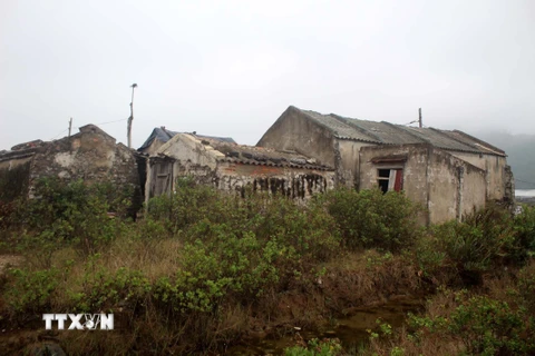 Ở cánh đồng muối thôn Tam Hòa, xã Hòa Lộc, huyện Hậu Lộc, nhiều nhà chứa muối bỏ hoang, ruộng muối bị xuống cấp, cỏ mọc um tùm. (Ảnh: Khiếu Tư/TTXVN)