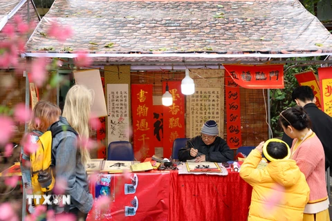 Không gian văn hóa Tết truyền thống trên phố bích họa Phùng Hưng, Hà Nội. (Ảnh: Thanh Tùng/TTXVN)