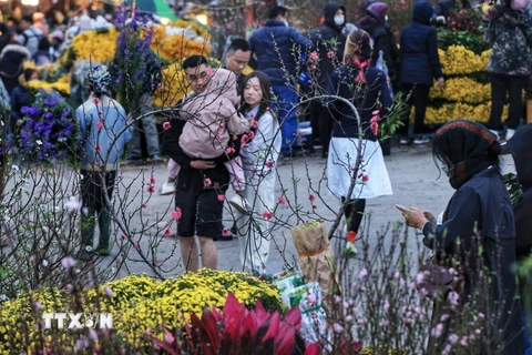 Chợ hoa Quảng An vừa là nơi mua sắm vừa là nơi đi chơi ngắm hoa ngày Tết của người dân Hà Nội. (Ảnh: Tuấn Anh/TTXVN)