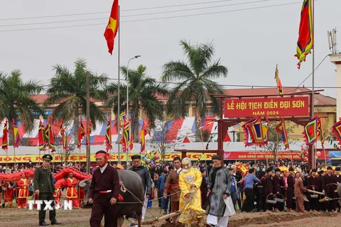 Cứ vào mùng 7 Tết hằng năm, Lễ hội Tịch điền Đọi Sơn lại được tổ chức để tái hiện Lễ Tịch điền thời vua Lê Đại Hành chọn việc tổ chức cày ruộng khuyến khích nông trang. (Ảnh: Thanh Tùng/TTXVN)