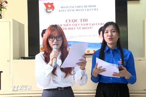 Cuộc thi Thanh niên Việt Nam tại Cuba tìm hiểu về Đoàn thu hút sự tham gia của nhiều đoàn viên thanh niên tại Cuba. (Ảnh: Mai Phương/TTXVN)