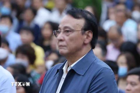 Bị cáo Đỗ Anh Dũng (Chủ tịch Hội đồng quản trị, kiêm Tổng Giám đốc Công ty Tân Hoàng Minh) nhận mức án 8 năm tù. (Ảnh: Phạm Kiên/TTXVN)