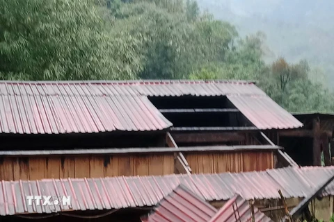 Dông lốc, mưa đá gây thiệt hại nặng tại Lào Cai