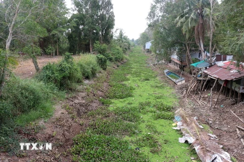 Nhiều kênh, rạch trên địa bàn xã An Minh Bắc, huyện U Minh Thượng (Kiên Giang) khô cạn nước. (Ảnh: Lê Huy Hải/TTXVN)