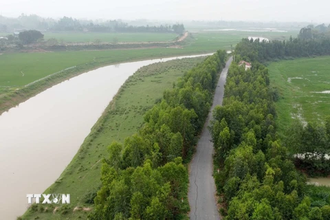 Tuyến đê Bá Hanh chắn sông Cà Lồ đoạn qua xã Cao Minh thành phố Phúc Yên xuất hiện nhiều vết nứt dọc thân đê. (Ảnh: Hoàng Hùng/TTXVN)