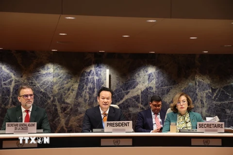 Đại sứ Mai Phan Dũng chủ trì kỳ họp thứ 14 của Ủy ban Đầu tư, Doanh nghiệp và Phát triển thuộc khuôn khổ UNCTAD. (Ảnh: Anh Hiển/TTXVN).