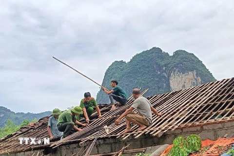 Lực lượng chức năng huyện Hạ Lang, tỉnh Cao Bằng giúp người dân khắc hậu quả của dông lốc. (Ảnh: TTXVN phát)