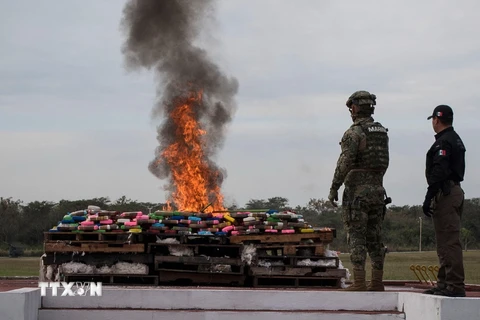 Binh sỹ Mexico thiêu hủy số ma túy thu giữ tại Veracruz, Mexico. (Ảnh: AFP/TTXVN)