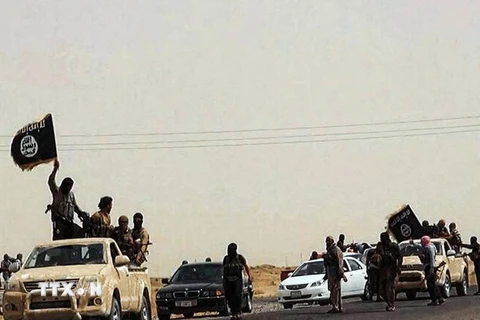 (Tư liệu) Các tay súng IS tại khu vực Salaheddin, Iraq. (Ảnh: AFP/TTXVN)