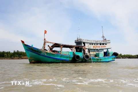 Tàu đánh bắt xa bờ trên vùng biển huyện Ngọc Hiển, tỉnh Cà Mau. (Ảnh: Hồng Đạt/ TTXVN)
