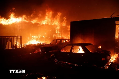 Nhà cửa và xe cộ bị thiêu rụi do cháy rừng tại Vina del Mar, Chile ngày 2/2/2024. (Ảnh: AFP/TTXVN)