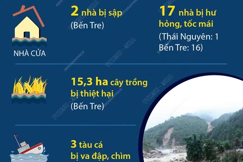 Thiệt hại do thiên tai xảy ra ngày 8 và 9/6/2024 tại một số địa phương