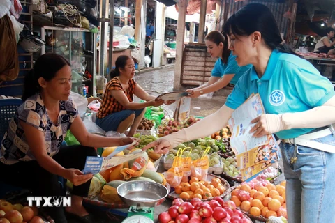 Phát tờ rơi, tuyên truyền chính sách bảo hiểm xã hội cho người dân thành phố Nam Định. (Ảnh: Nguyễn Lành/TTXVN)