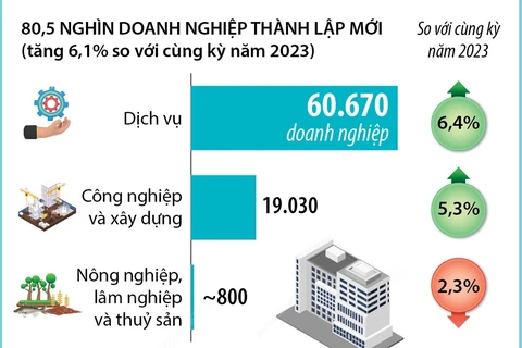 Xu hướng tích cực trong hoạt động đăng ký doanh nghiệp 6 tháng năm 2024 