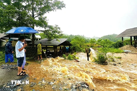 Lãnh đạo huyện Vị Xuyên, tỉnh Hà Giang kiểm tra các điểm ngập úng, sạt lở trên địa bàn. (Ảnh: Quỳnh Anh/TTXVN phát)