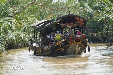 Du lịch bằng thuyền dưới tán dừa được du khách trong và ngoài nước lựa chọn khá nhiều khi đến Bến Tre. (Ảnh: Chương Đài/TTXVN)