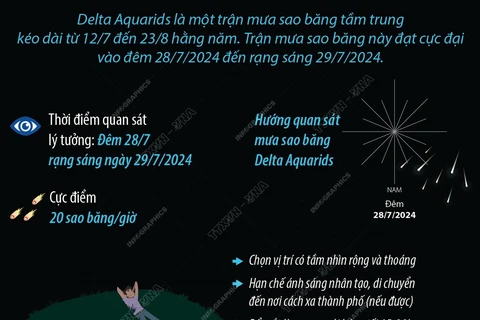 Mưa sao băng Delta Aquarids 