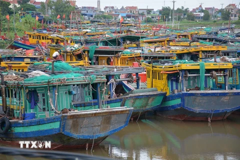 Tàu thuyền neo đậu trên bến cá xã Giao Hải, huyện Giao Thuỷ, tỉnh Nam Định. (Ảnh: Công Luật/TTXVN)