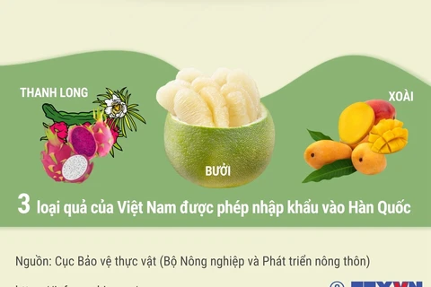 Hàn Quốc chính thức cấp phép nhập khẩu quả bưởi tươi của Việt Nam