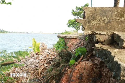 Bờ sông Thạch Hãn đoạn qua phường Đông Lương, thành phố Đông Hà (Quảng Trị) bị sạt lở gây hư hỏng bờ kè. (Ảnh: Nguyên Lý/TTXVN)